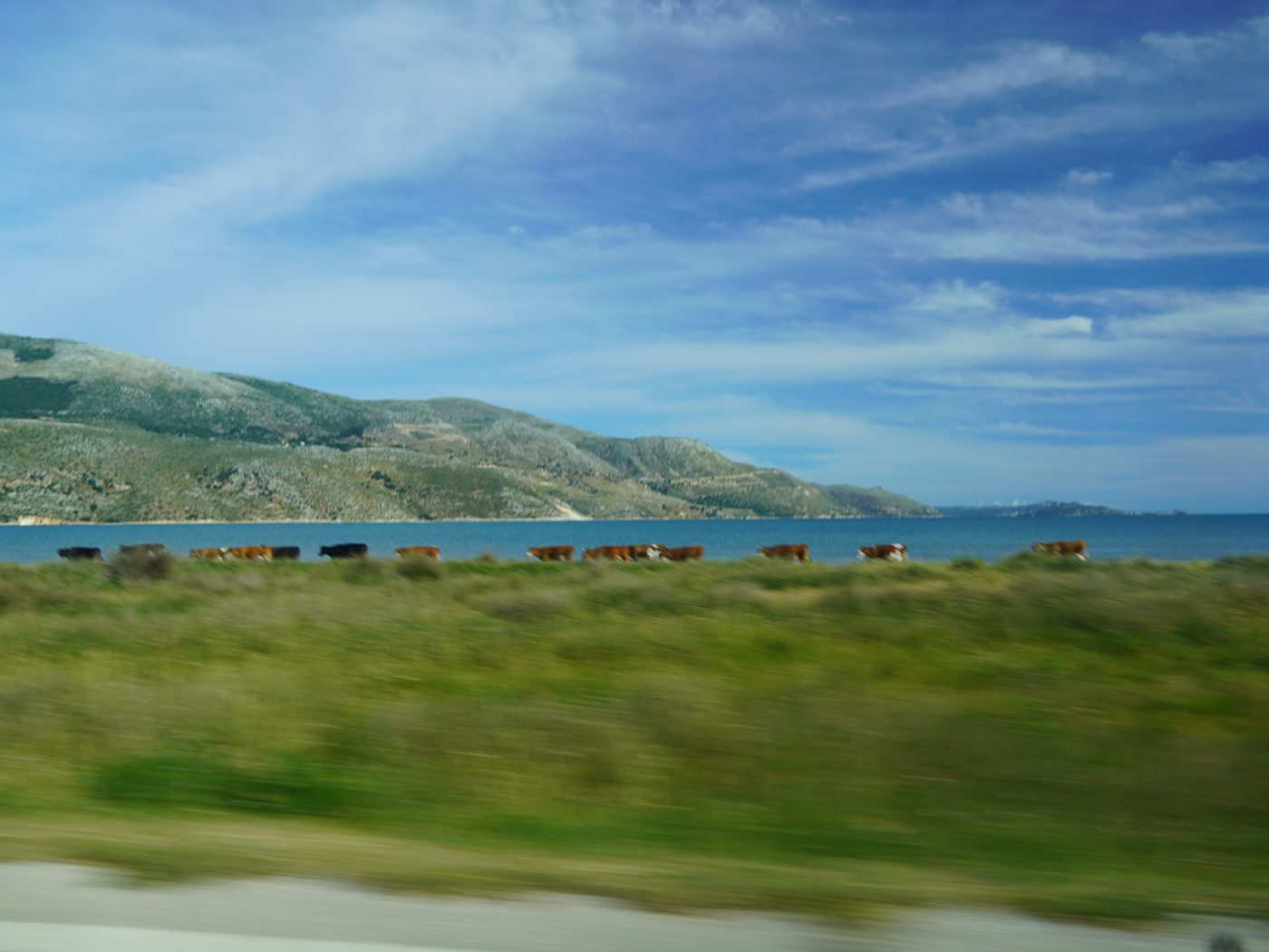 in motion
