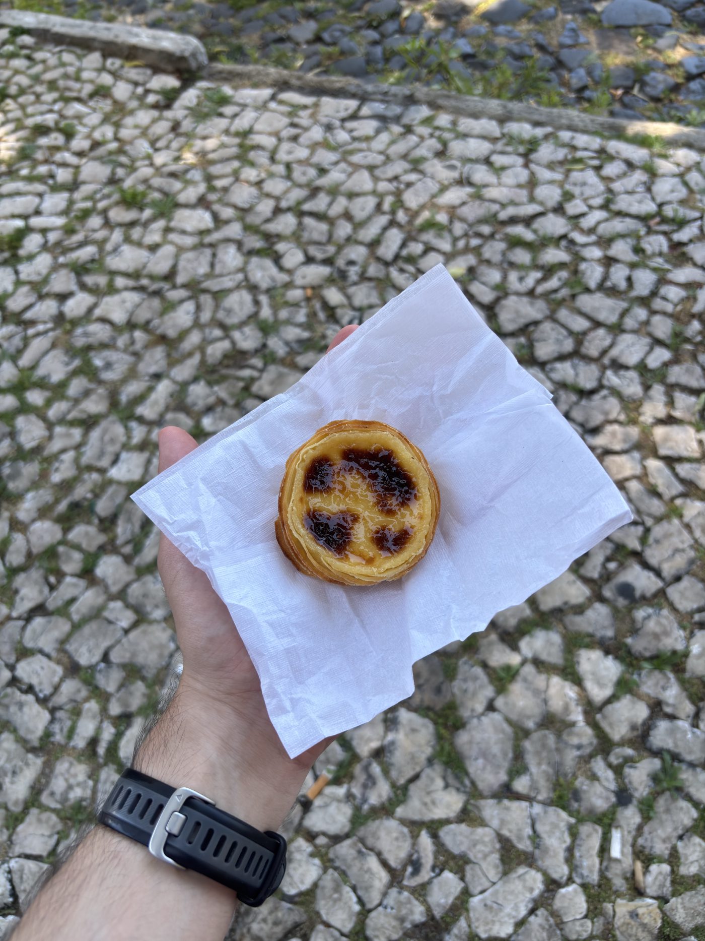 IMG 7279