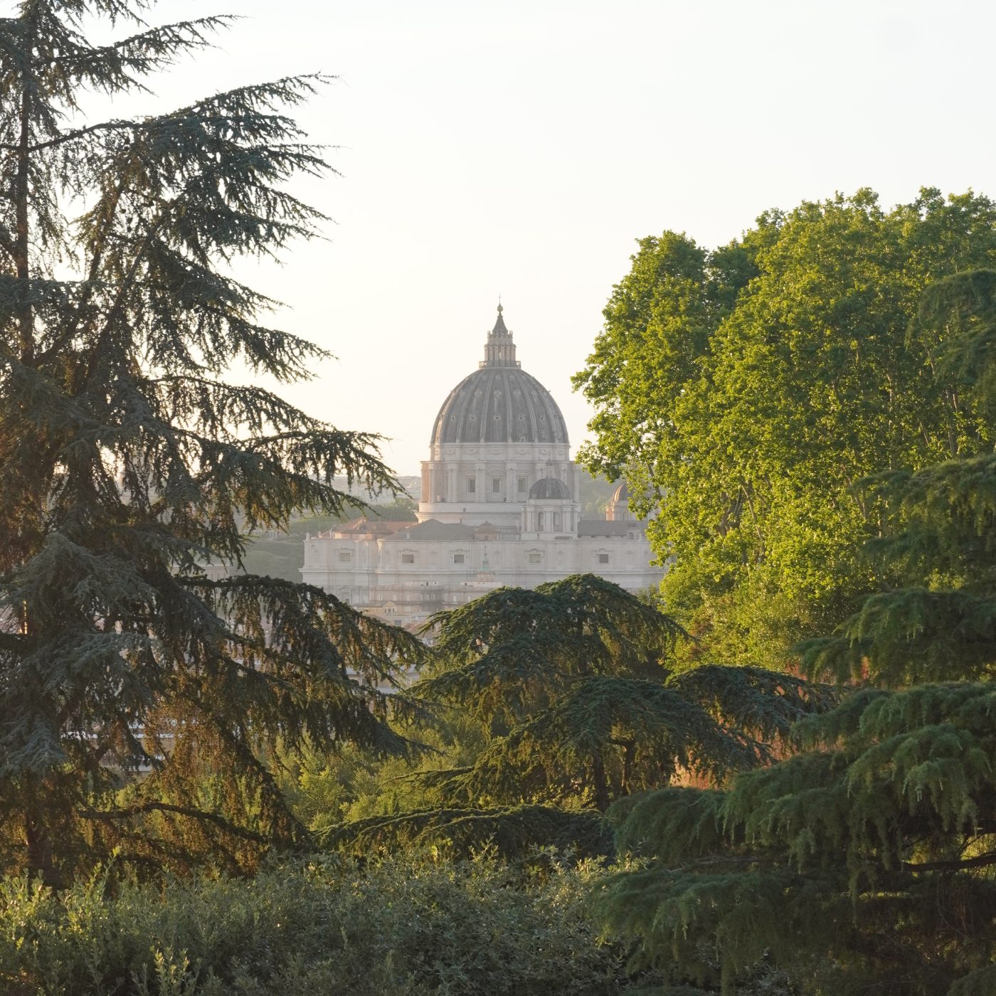SanPietro